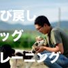 鳥取県の犬しつけ教室、おすすめドッグスクール一覧